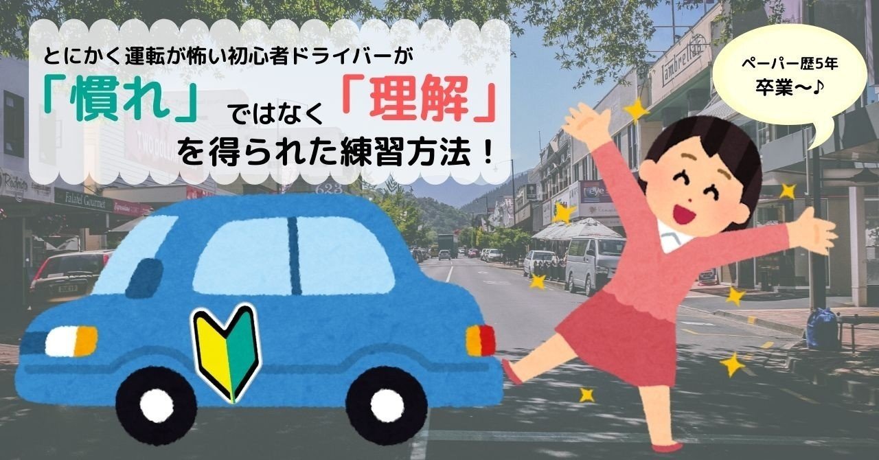 目視が一番苦手 脱ペーパードライバーした私がオススメ 運転できる人に を聞け さえこ note