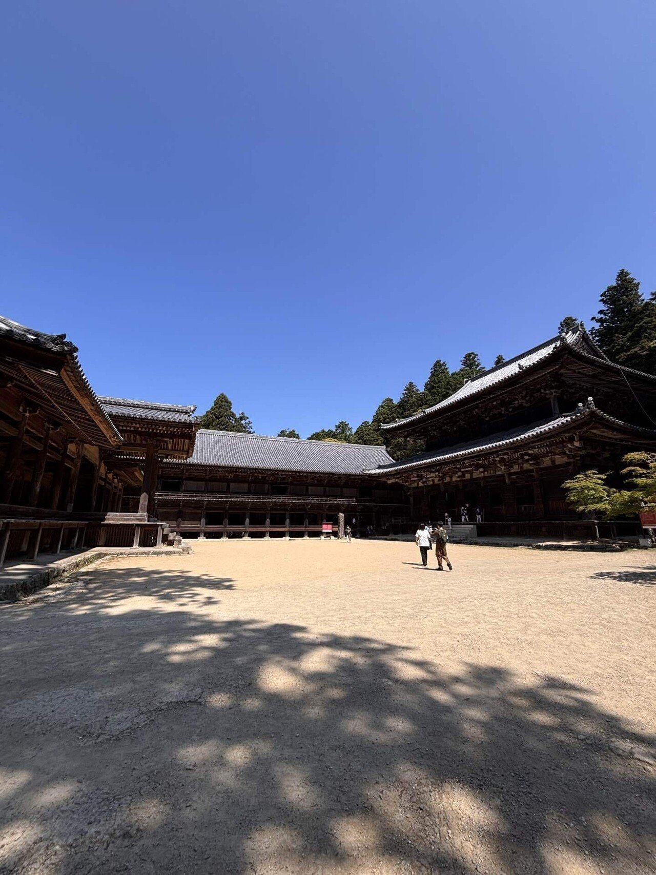 🇯🇵兵庫姫路🏔️荘厳な書写山圓教寺🚡 🤩トムクルーズラスト