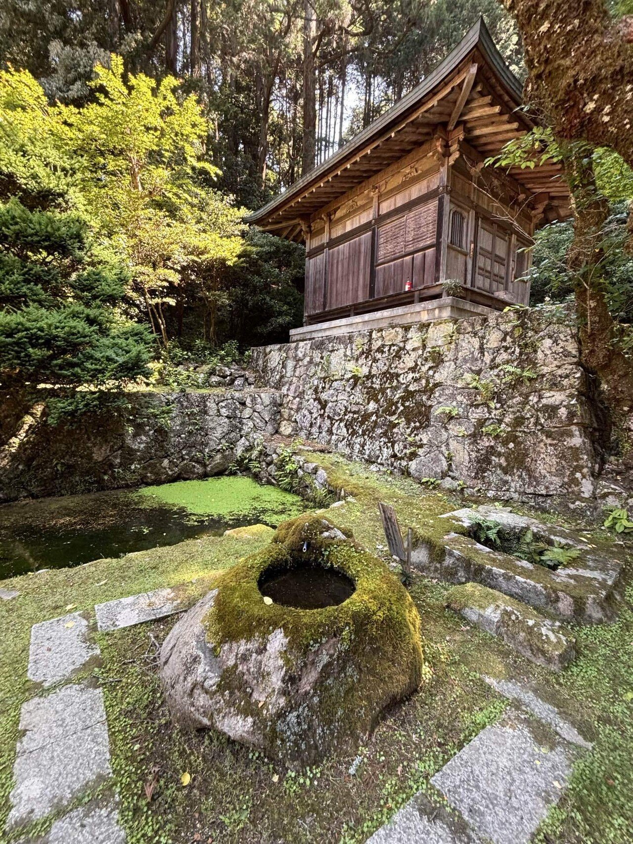 🇯🇵兵庫姫路🏔️荘厳な書写山圓教寺🚡 🤩トムクルーズラスト