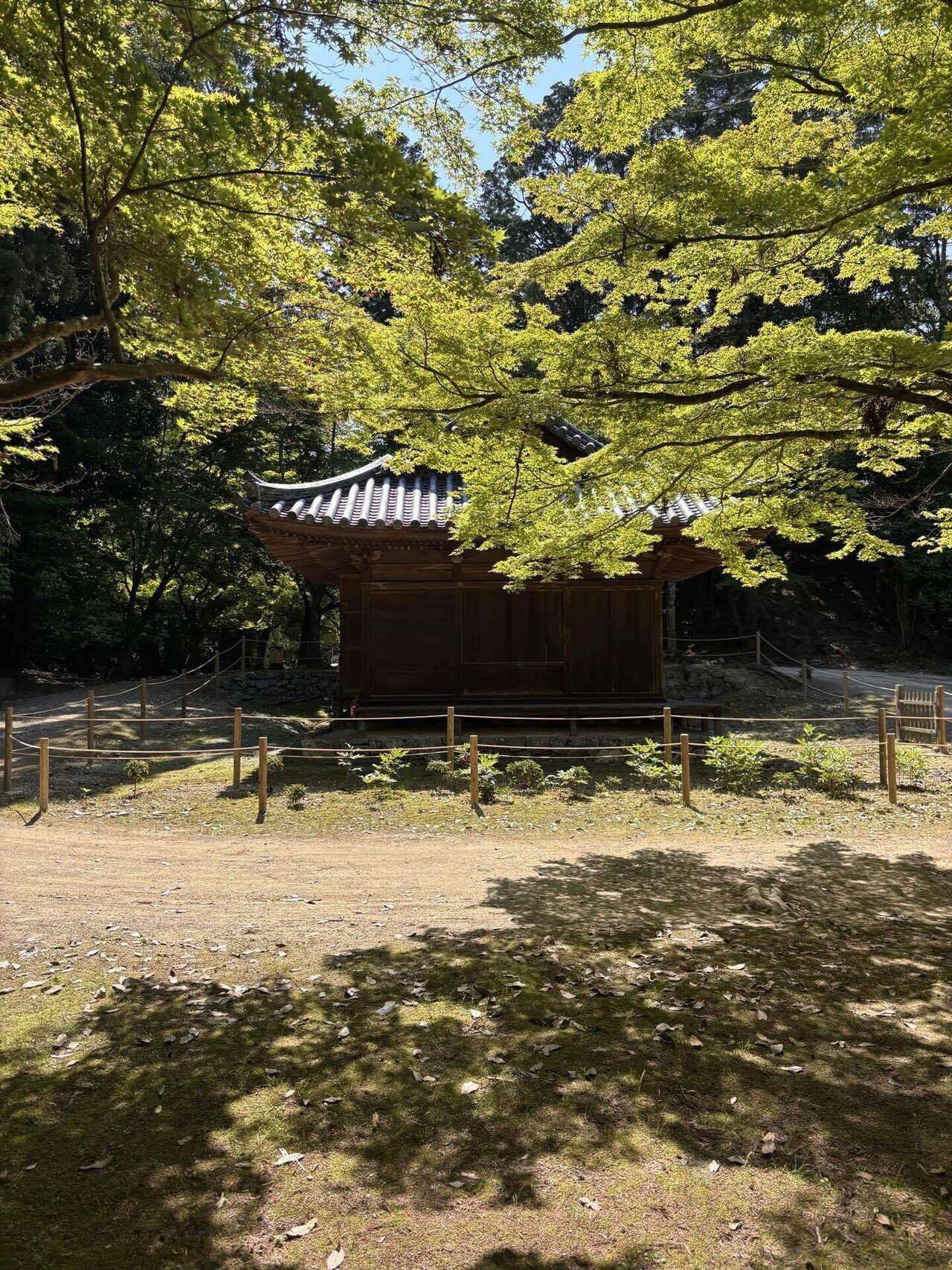 🇯🇵兵庫姫路🏔️荘厳な書写山圓教寺🚡 🤩トムクルーズラスト