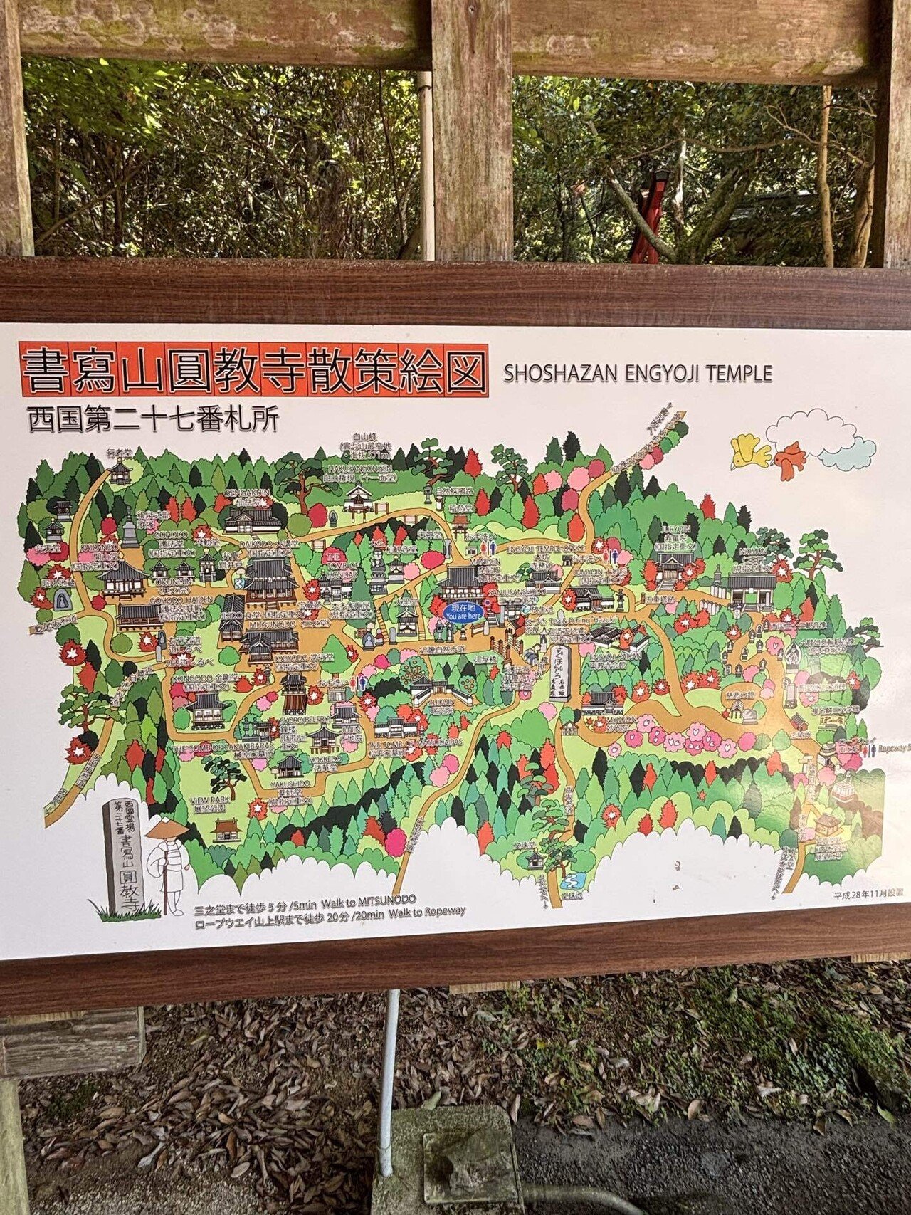 🇯🇵兵庫姫路🏔️荘厳な書写山圓教寺🚡 🤩トムクルーズラスト
