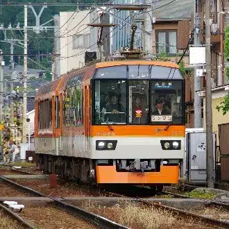 ひまにんじん