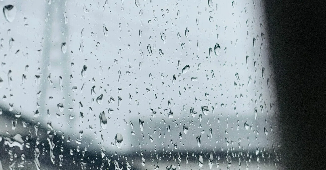 雨降る前の朝さんぽと、満ちる気持ち|Keika