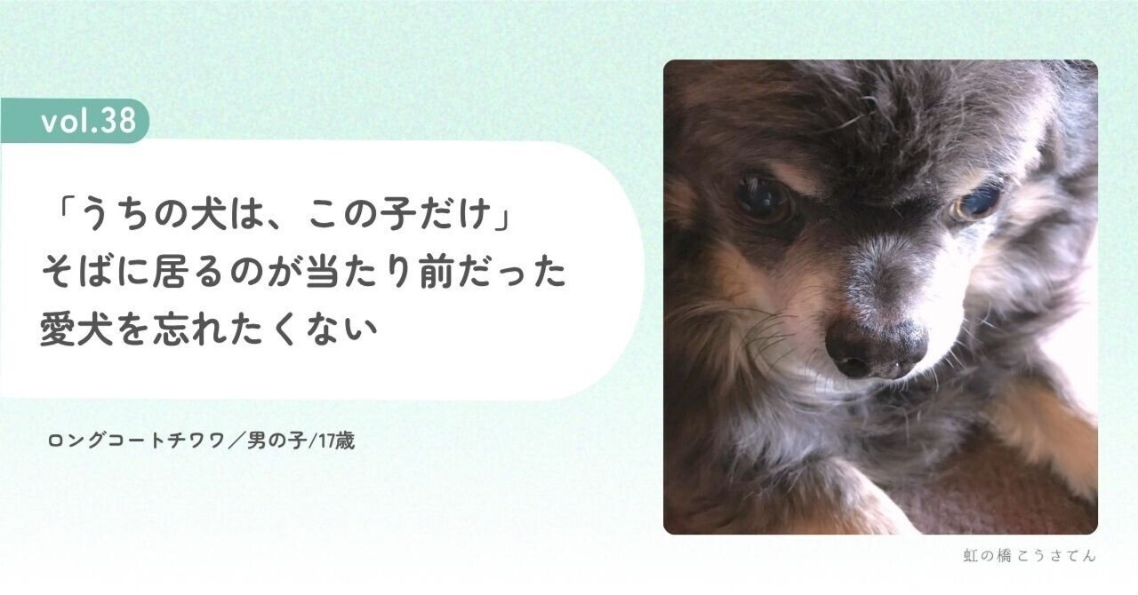 Vol.38｜「うちの犬は、この子だけ」 そばに居るのが当たり前だった愛犬を 忘れたくない｜虹の橋こうさてん, image size:1280x670