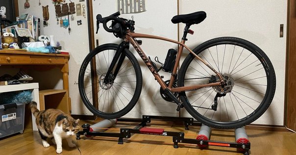 ロードバイク日記 -スマートトレーナーを導入してみた-｜kt_bassoon