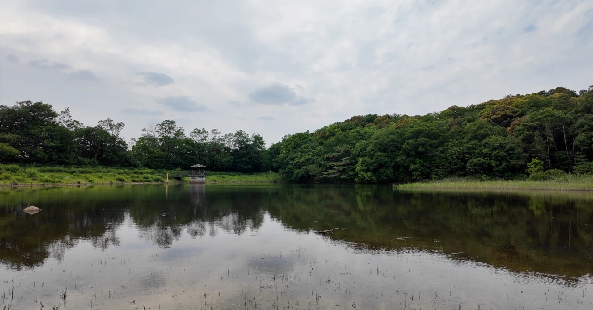 小幡 緑地