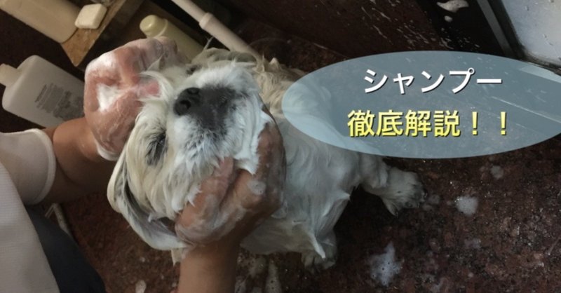 初心者でも大丈夫 犬のシャンプー徹底解説 ドッグライフサポーター 獅子パパ Note