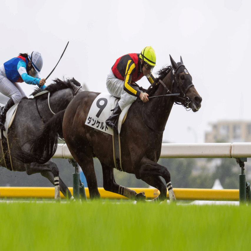 競馬ファン　必見 競馬ファンとして一度は見てみたかったもの｜Daigo