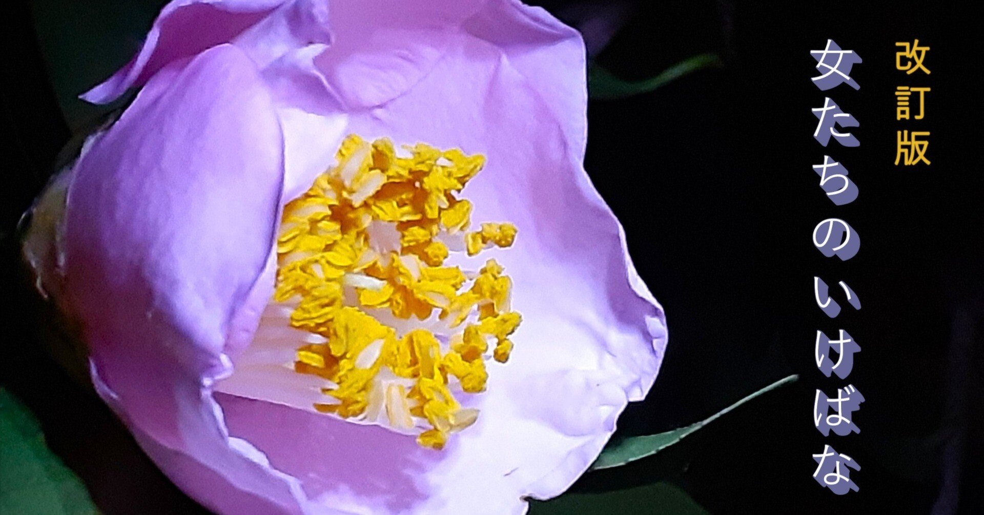 bd950e1f5f7f5fb4217a392d8c0bb2