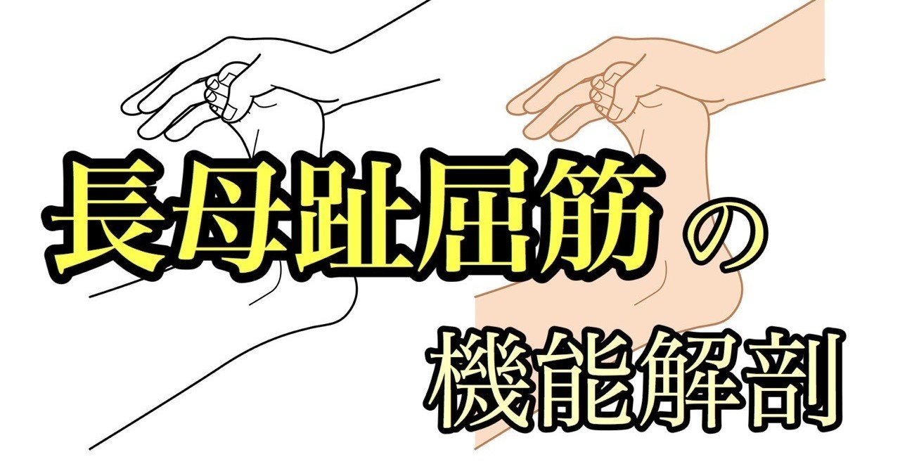 長母趾屈筋 の新着タグ記事一覧 Note つくる つながる とどける 長母趾屈筋 の新着タグ記事一覧 Note つくる つながる とどける