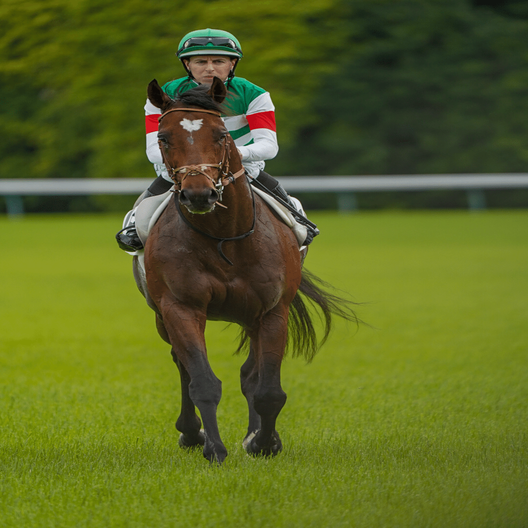 競馬ファンとして一度は見てみたかったもの｜Daigo
