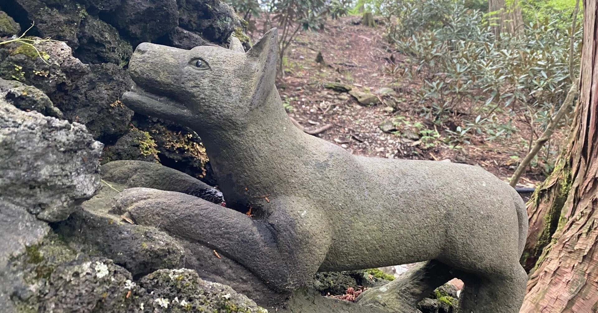 三峰神社　狼　クリスタル　置物 三峯神社で出会った狼神｜yukasuke
