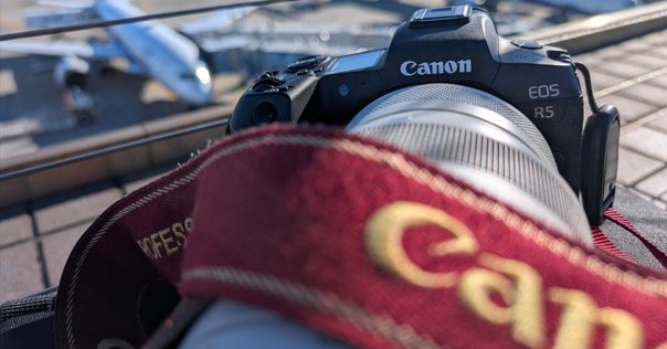 間違いばかりのカメラ選び③RF75-300mm！手振れ補正無しの望遠