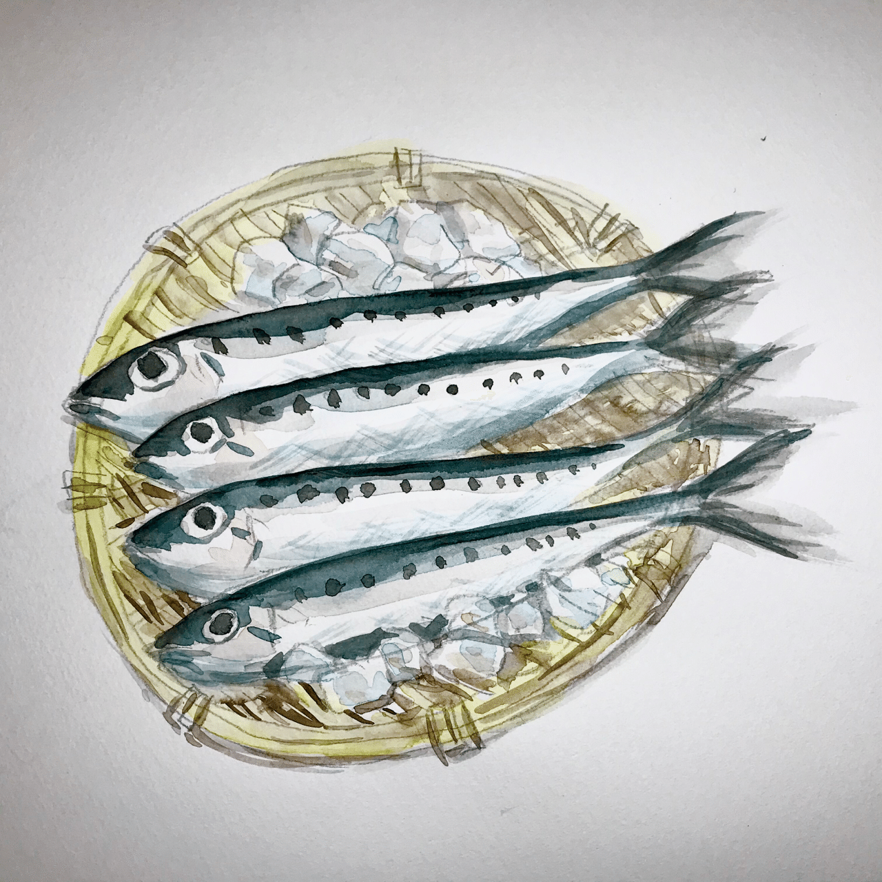 02 16 イワシと氷 Niijima Note