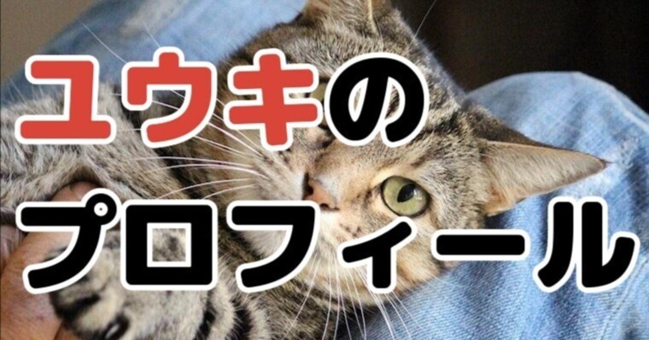 【自己紹介】無職・借金・セックスレス⋯。人生どん底の僕を導いた、たった1つの言葉ユウキマインドフルネスでレス克服【フォロバ100】