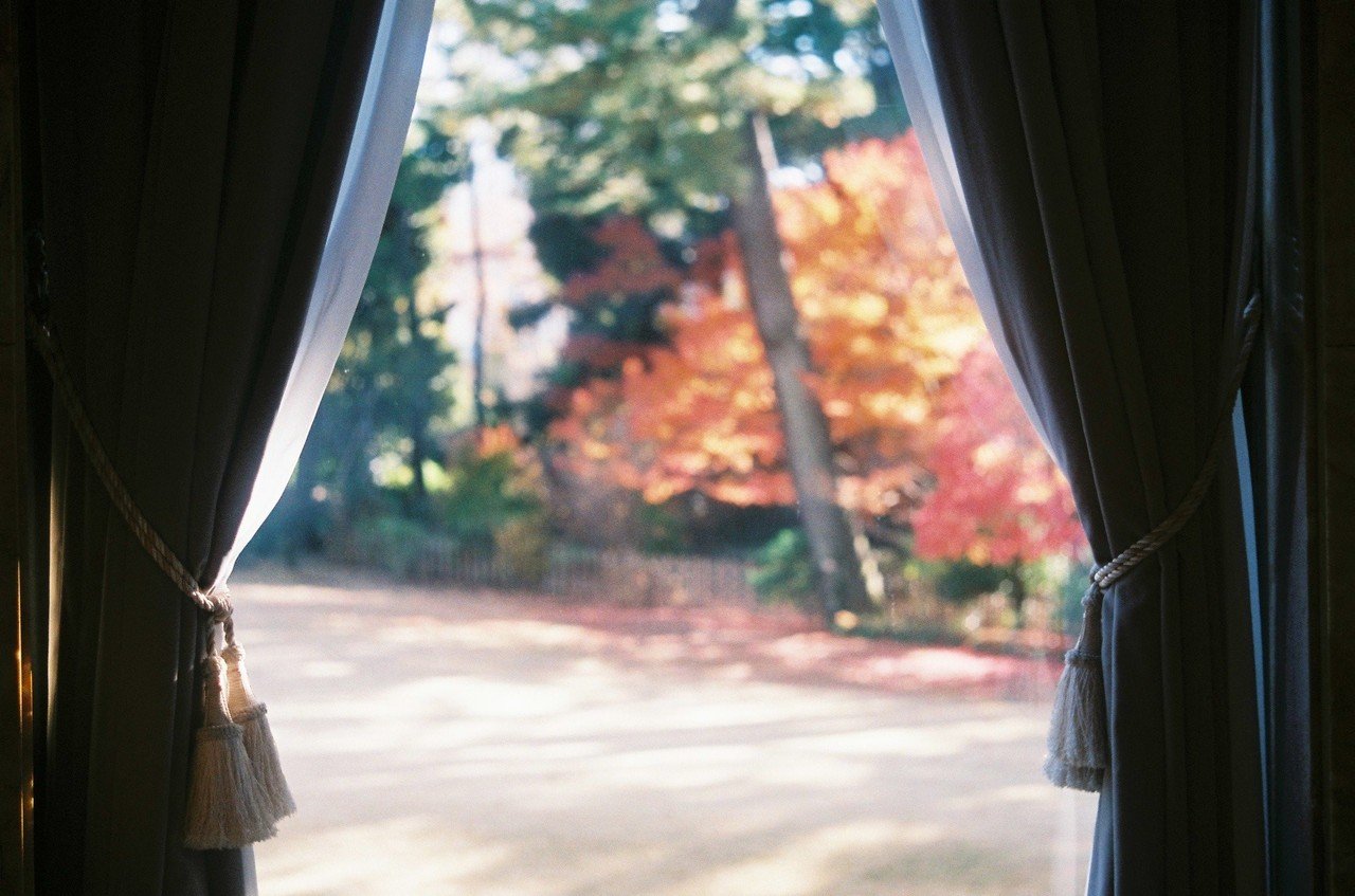 ズマール　50 f2 クローム　作例有り Leitz Summar 50mm f2 review作例 滲むクセ玉銘玉 戦前ライカ