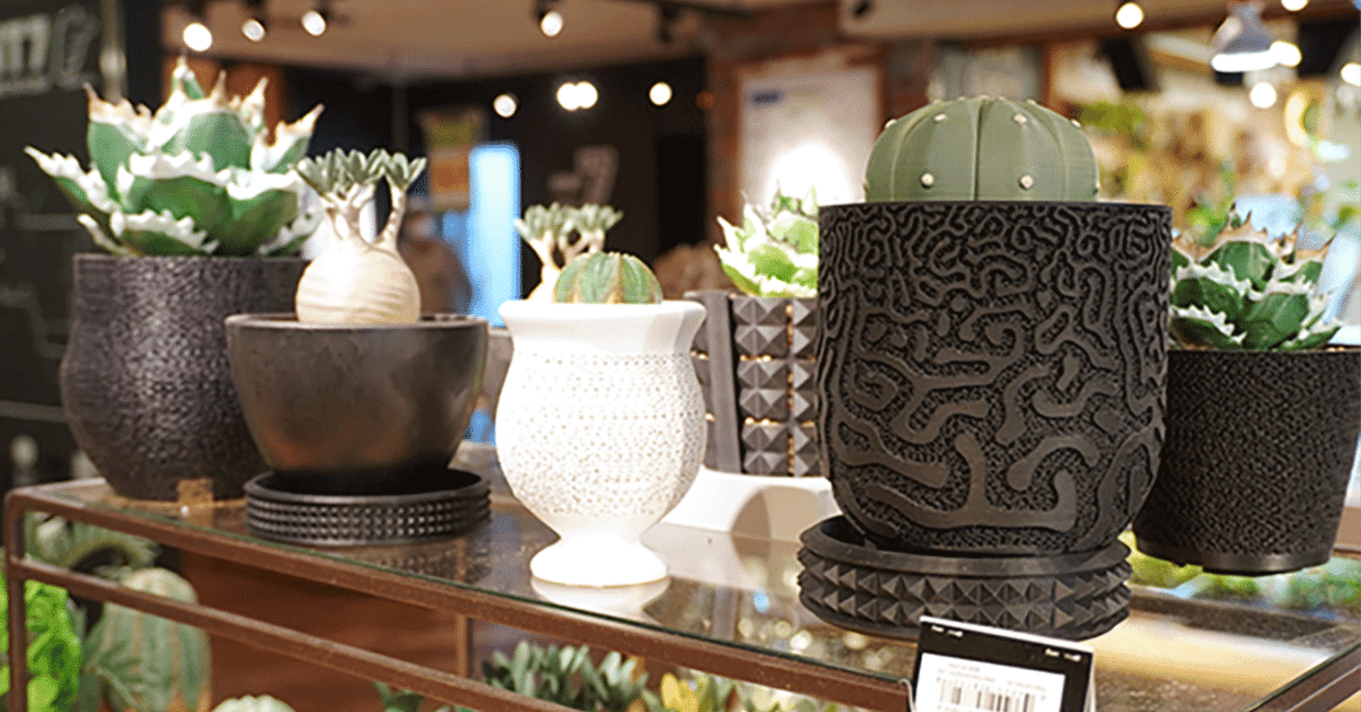 渋谷英一 ⑤ OPUS 鉢 植木鉢 作家鉢 パキプス アガベ グラキリス 手作植木鉢 3点 検（ 塊根植物 グラキリス パキプス アガベ) 手作