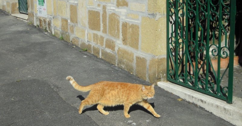 あなたは何点 2 000社以上に提案 営業出身の社長である僕が出会ったすごい営業マンの共通点 すぎゆう note