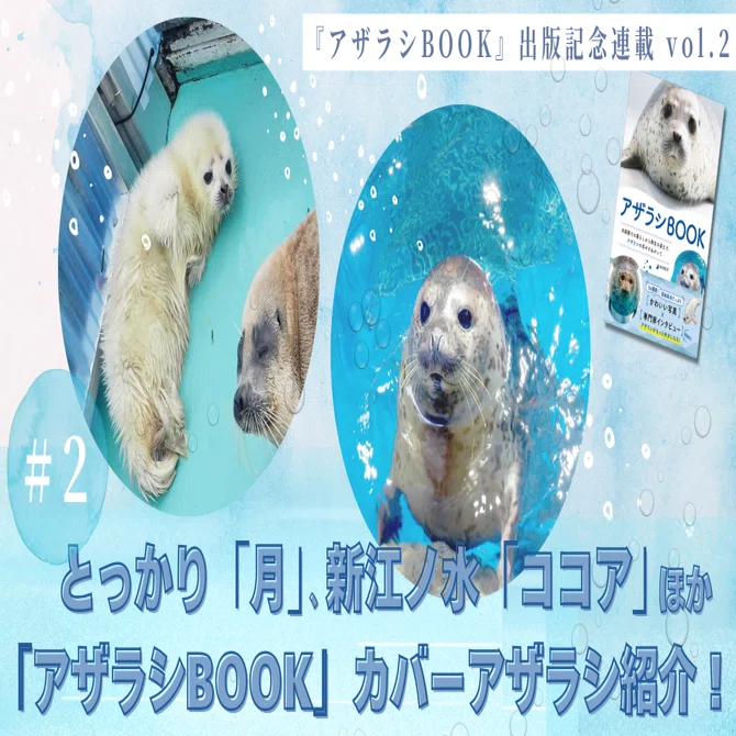 アザラシBOOK』出版記念連載 vol.2】とっかり「月」、新江ノ水