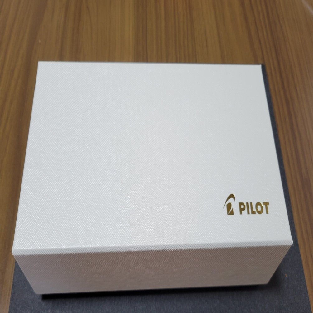 パイロット カスタム845 M｜Say