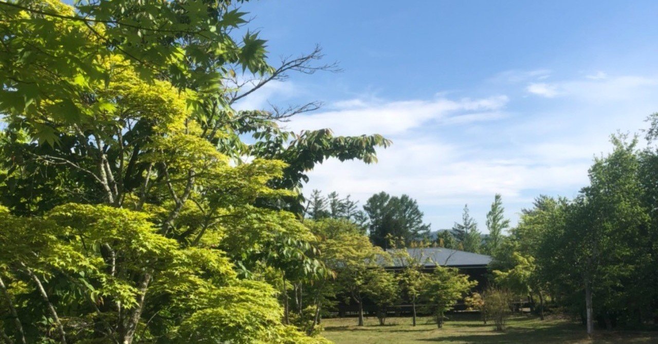 いじめっ子はね その子のお父さんとお母さんが悪いと思う 心が曇ってるんだよ と５歳の息子が言った件 Sachi 言葉で絆 つな ぐ Note