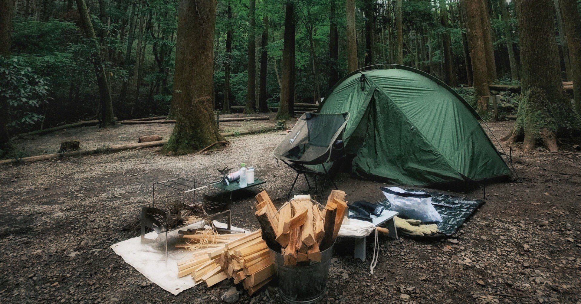 535f59b80fb8d22a8737a02da58c1e