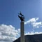ルイタソ