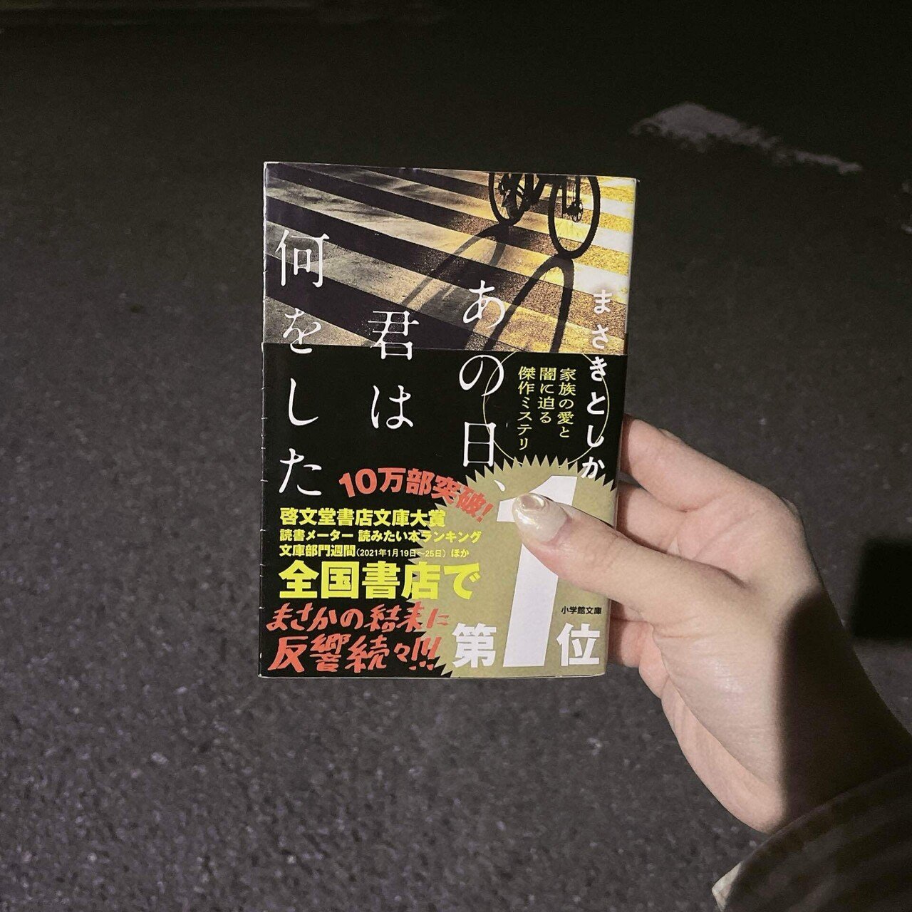 あの日、君は何をした Amazon.co.jp: あの日、君は何をした シリーズ 2巻セット