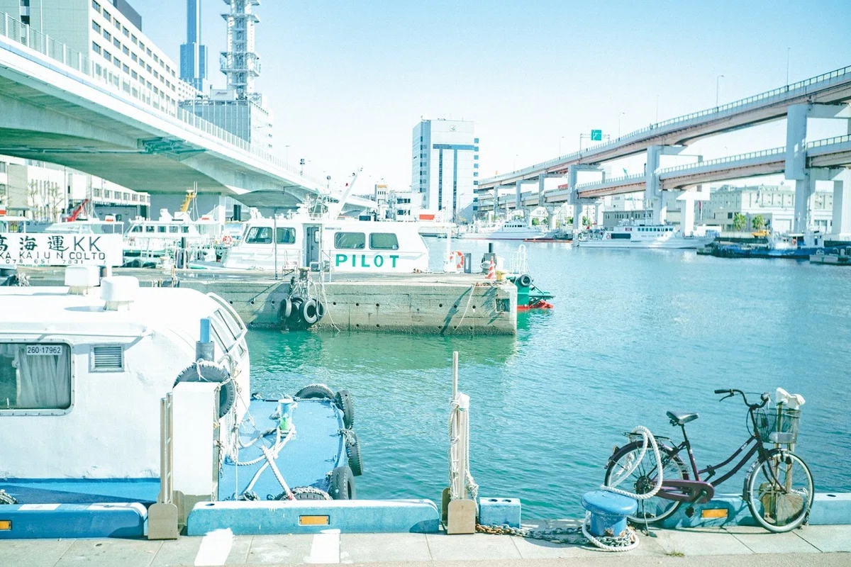 画像1