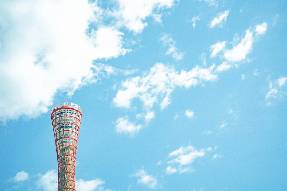画像7
