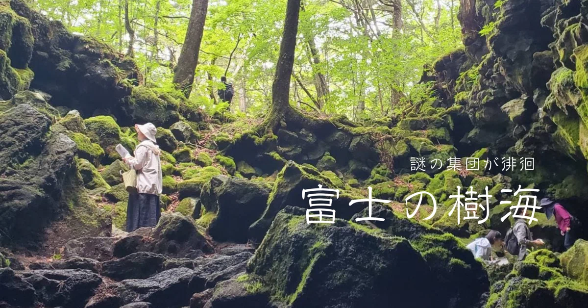 富士の樹海の苔散策｜moss paradise3055（モスパラ）