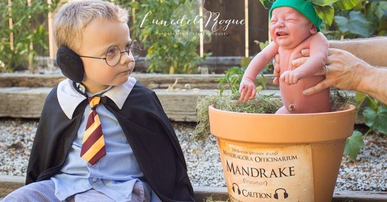 2 16 マンドラゴラ日記 富男 Note