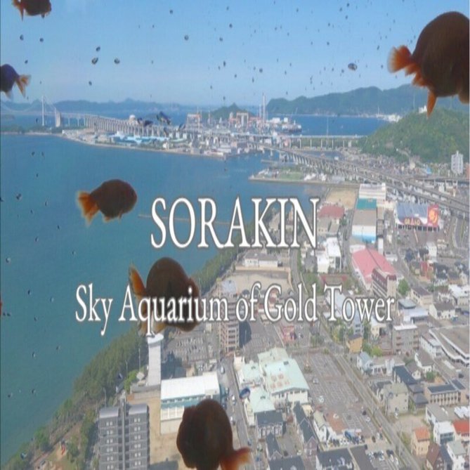 空中に金魚?? ソラキン　天空アクアリウム　ゴールドタワー　香川県