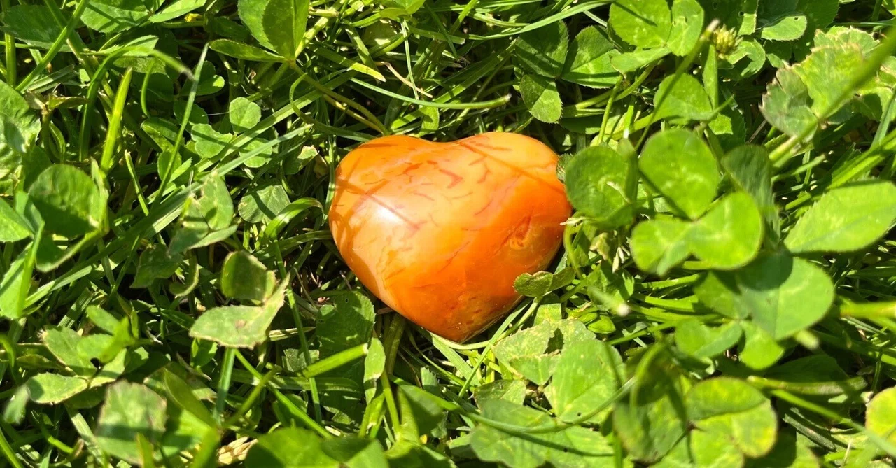 Large Rectangular Stone A Stone for Enjoying the Earth: Strengthening Grounding with Carnelian|lyks
