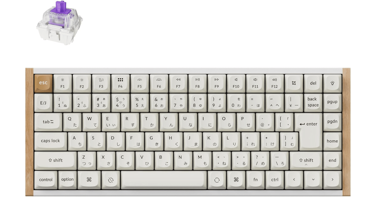 スーパーセール タイムセール 時間 Keychron カスタム ワイヤレス ラピッドトリガー HE K2 キーボード