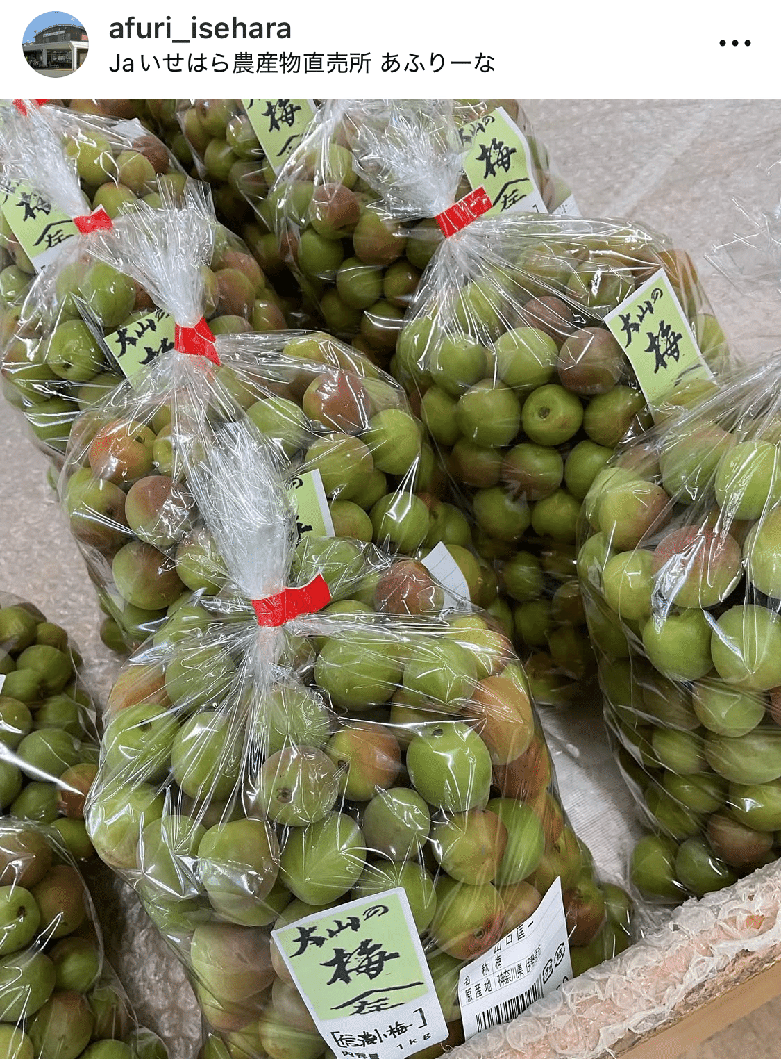 JA伊勢原あふり〜なへ生梅を買いに、ついに「山口さんの梅」を漬ける