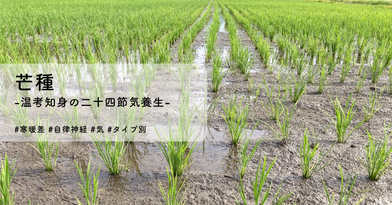 寒暖差に揺らがない体をつくる、初夏の整え方-温考知身の二十四節気養生-|温考知身 | 温もりと知恵を、暮らしに