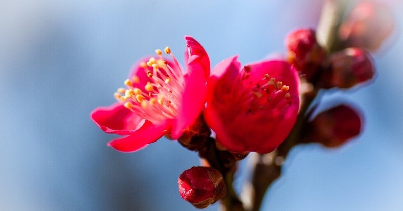 オリコンhd jq 2498 2020 9 q1決算精査 まるのん note