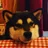 しば犬のお金デザイナー