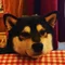 しば犬のお金デザイナー