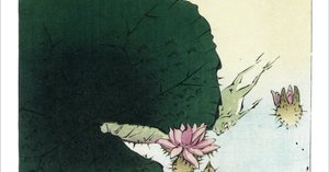 rectangle_large_type_2_0413a64