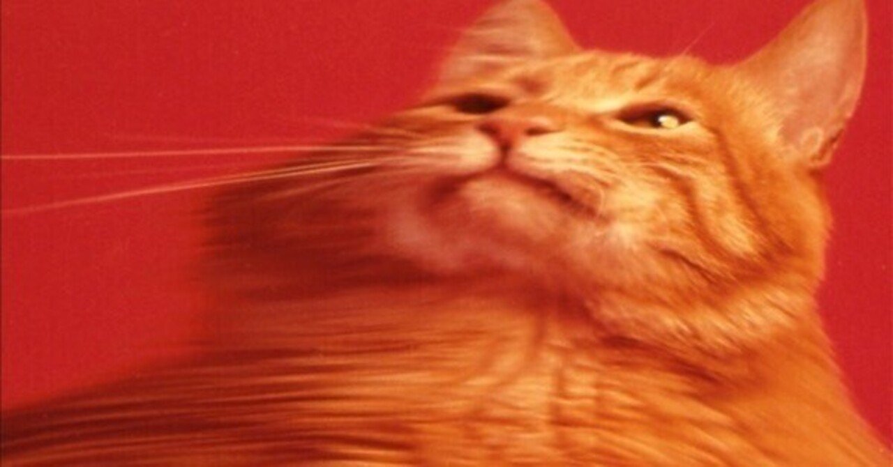 名前をつけてやる/スピッツ」1日1枚アルバムレビュー＃3｜祖月輪うす