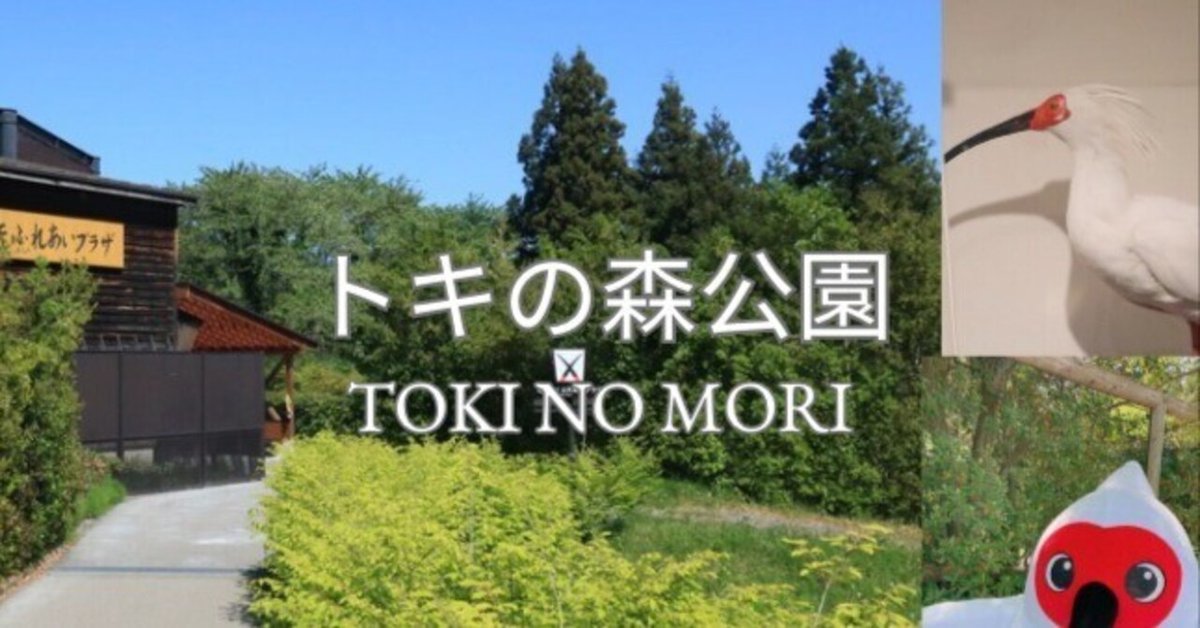 絶命危機のトキに会えた【トキの森公園】　佐渡島　新潟県