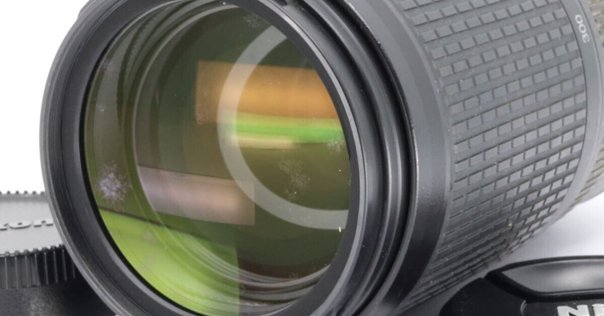 安価で楽しむ望遠撮影【AI AF Zoom-Nikkor ED 70-300mm F4-5.6D