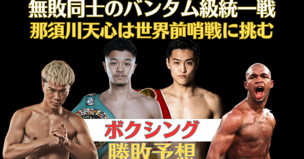 PRIMEVIDEO BOXING 13 那須川天心 中谷潤人西田凌佑 ポスター