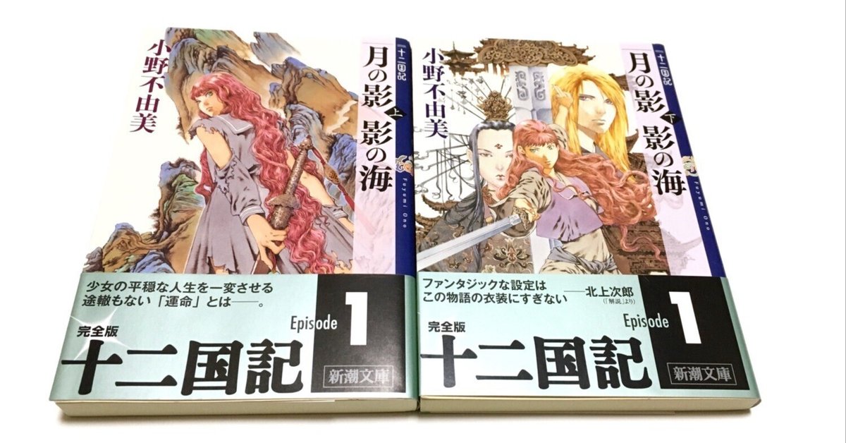 小説「十二国記 月の影 影の海」by 小野不由美 を読んで、濃密な