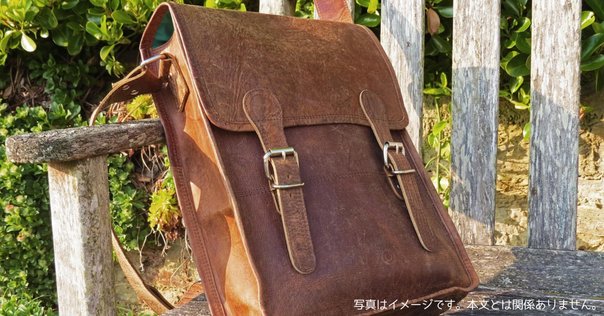 LV キャリオール 新作通勤バッグ｜coco