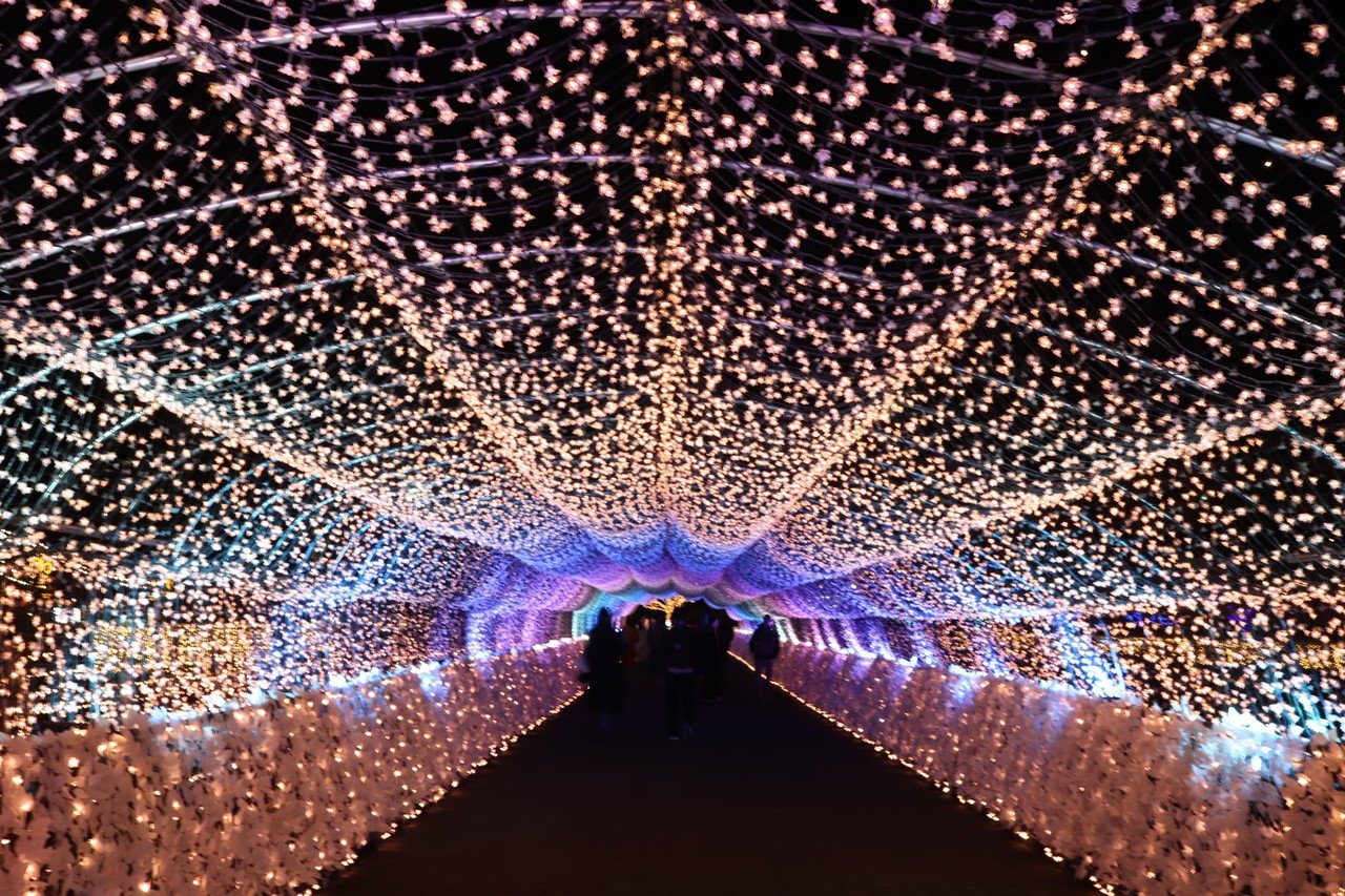 Tokyo Mega Illumination 19 こば Note Tokyo Mega Illumination 19 こば Note