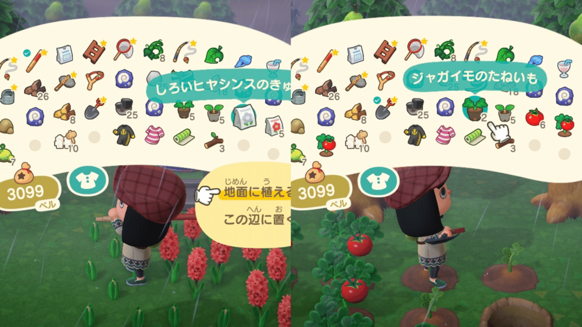 アイテム収集