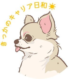 きっか キャリア日和